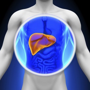 Healthy Liver Function