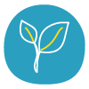 white leaf illustration on blue circle