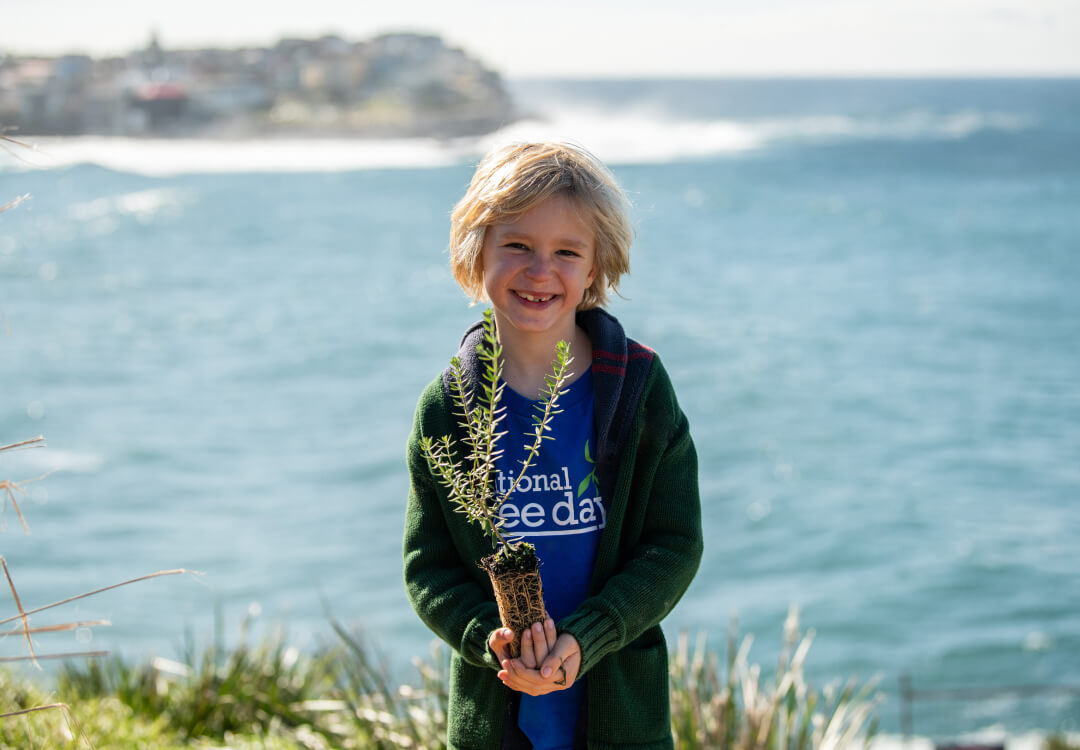 Young person wearing blue holding a tree sapling.