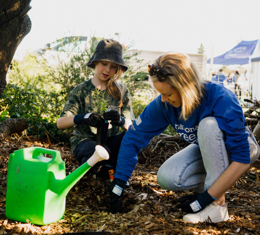 Two people planting trees in the ground