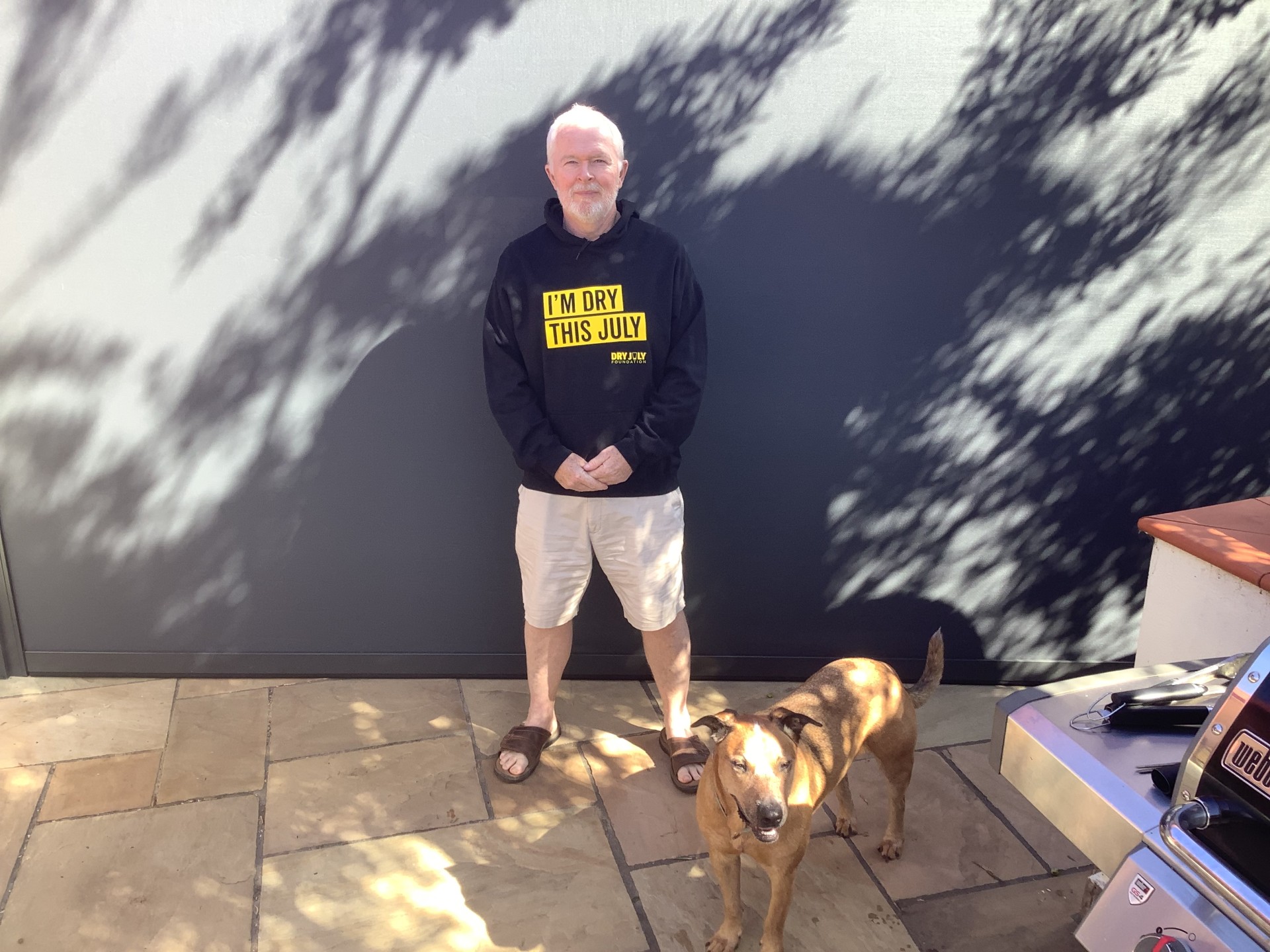 David's story image