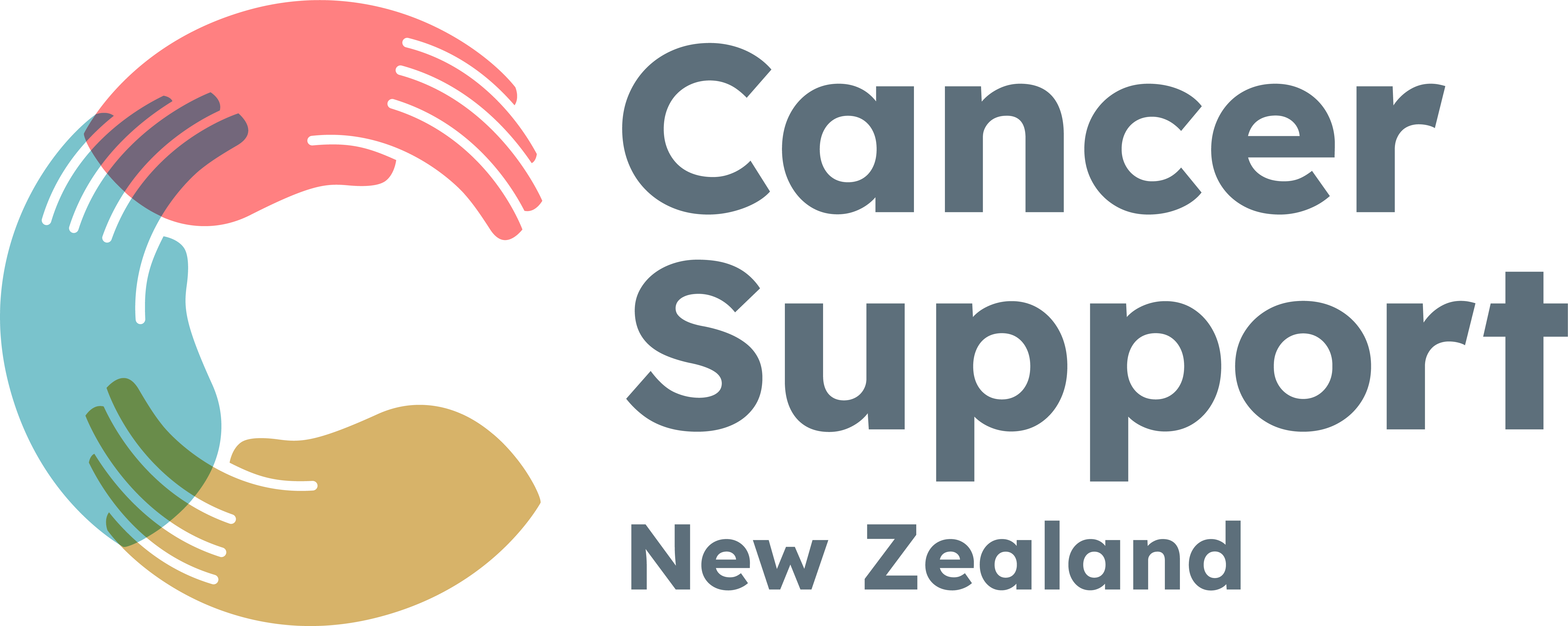 Csnz Logo