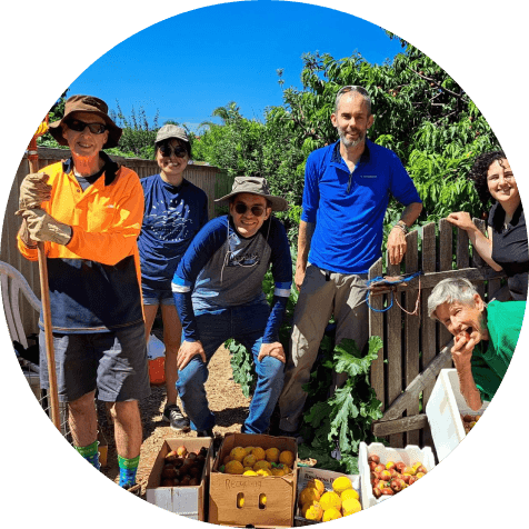 A team of Fruit Share Adelaide volunteers