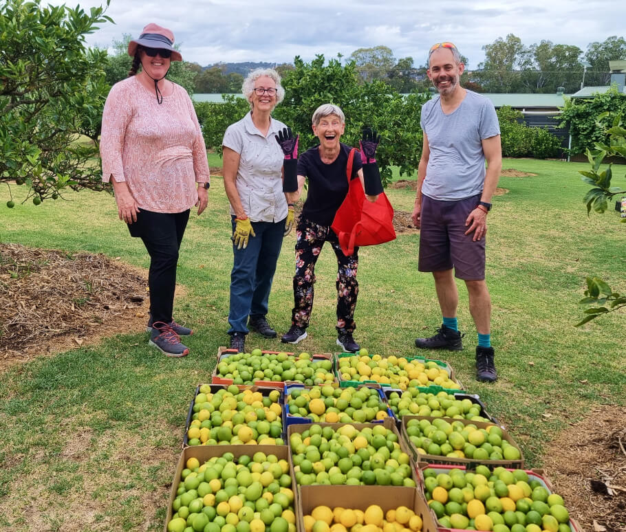 A group of Fruit Share Adelaide volunteers